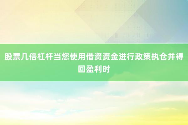 股票几倍杠杆当您使用借资资金进行政策执仓并得回盈利时