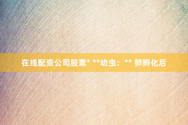 在线配资公司股票* **幼虫：** 卵孵化后