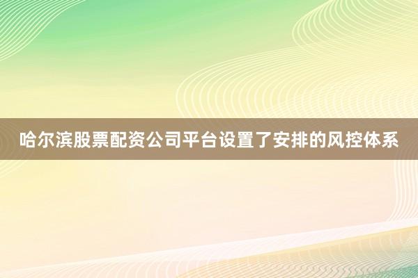哈尔滨股票配资公司平台设置了安排的风控体系