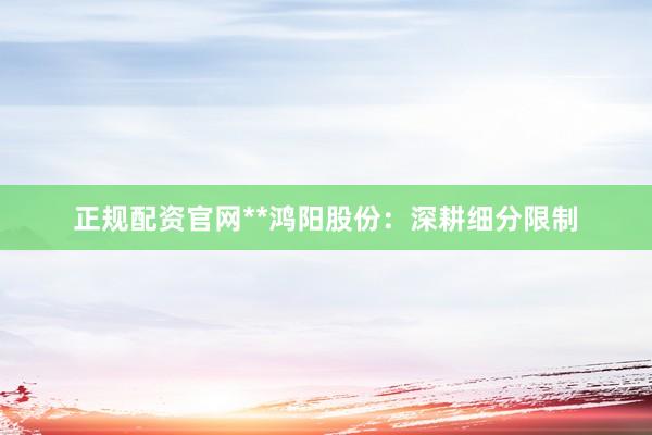 正规配资官网**鸿阳股份：深耕细分限制