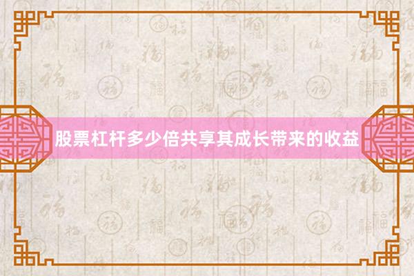 股票杠杆多少倍共享其成长带来的收益