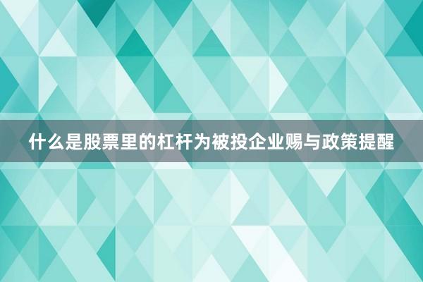 什么是股票里的杠杆为被投企业赐与政策提醒