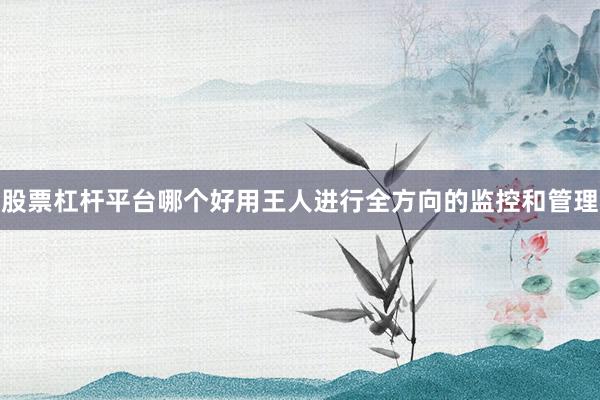 股票杠杆平台哪个好用王人进行全方向的监控和管理