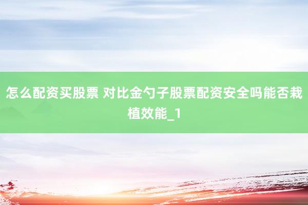 怎么配资买股票 对比金勺子股票配资安全吗能否栽植效能_1
